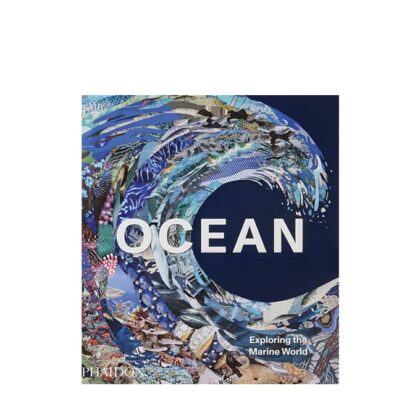 Ocean