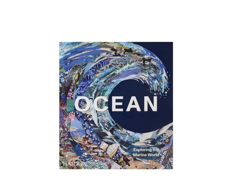 Ocean