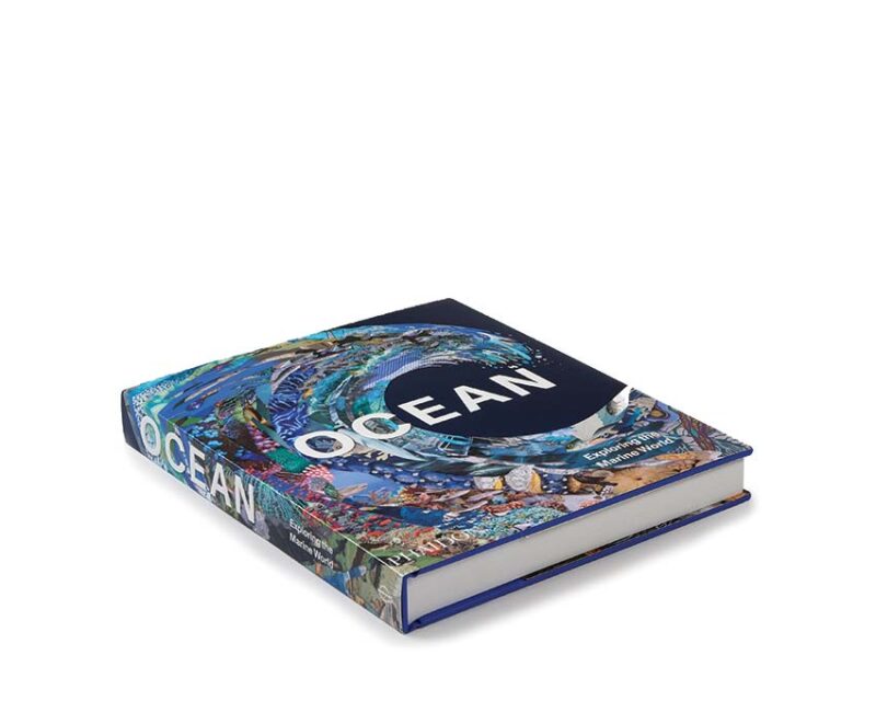 Ocean – Image 2