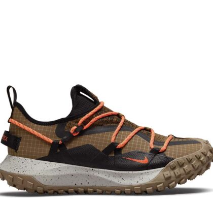 Nike ACG Mountain Fly Low GTX SE