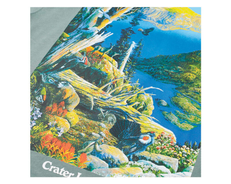 Nike M NRG ACG Crater Lake Tee – Image 2