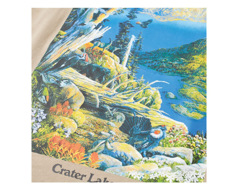 Nike M NRG ACG SS Crater Lake Tee – Image 2