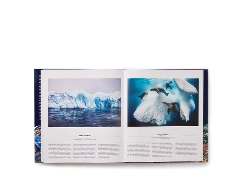 Ocean – Image 4