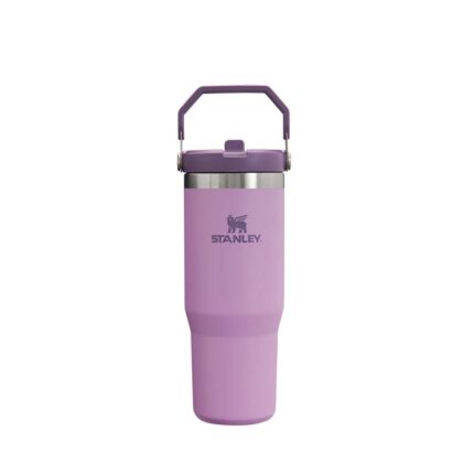 Stanley Classic Iceflow Flip Straw Tumbler 30oz