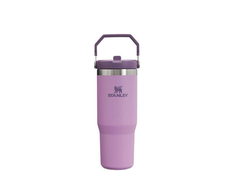 Stanley Classic Iceflow Flip Straw Tumbler 30oz